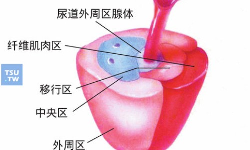 权威藿香正气胶囊的害处平台,分享专业吃藿香正气胶囊的好处知识_吃藿香正气胶囊说明书网